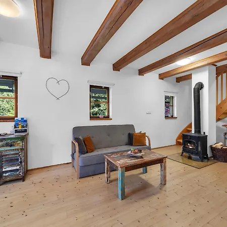 Dolni Branna Kdk11210 Villa